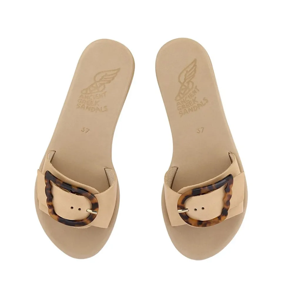 Aglaia natural tortoiseshell