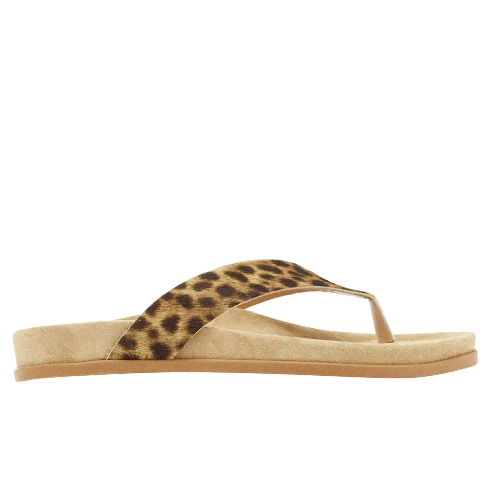 Charys footbed lynx