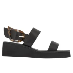 Clio rainbow black tortoiseshell