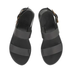 Clio rainbow black tortoiseshell