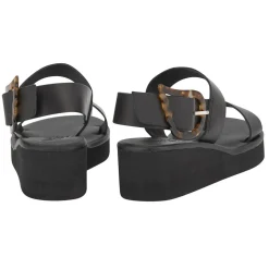 Clio rainbow black tortoiseshell