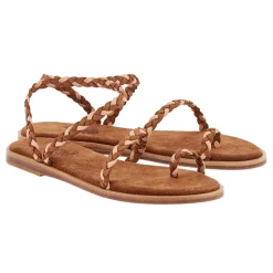 Elevated eleftheria rust