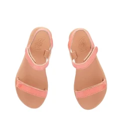 Little poros soft coral