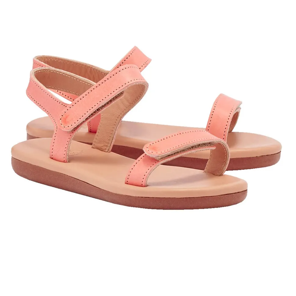 Little poros soft coral