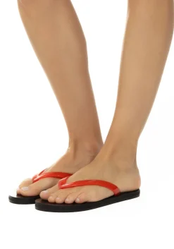 Saionara jelly clear red