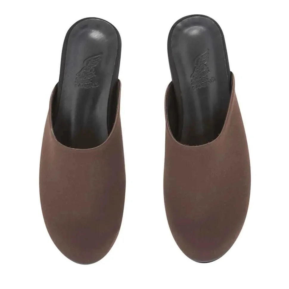 The slipper brown black